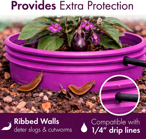 7 inch 6 Pack Solid Planting Grow Rings | Purple | One-Piece Design for Deep Root Watering Veggies, Herbs & Flowers |