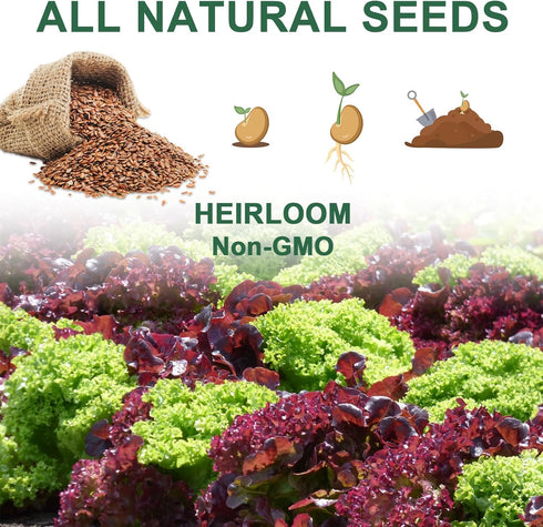 (8-Pod) Lettuce Seed Pod Kit, Romaine, Butter Head, Red Sail, Red&Green Leaf, Red Sail Lettuce, Grow Anything Seed Pod