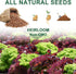 (8-Pod) Lettuce Seed Pod Kit, Romaine, Butter Head, Red Sail, Red&Green Leaf, Red Sail Lettuce, Grow Anything Seed Pod