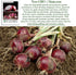 300+ Bulbs Red Shortday Burgundy Onion Seeds Heirloom Non-GMO Seeds by Islas Garden Seeds, Sweet Mild Burgundian