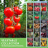15 Pack Vegetable Garden Seed Vault for Planting Collection | Heirloom Non-GMO Family Garden Kit & Gift Tomato