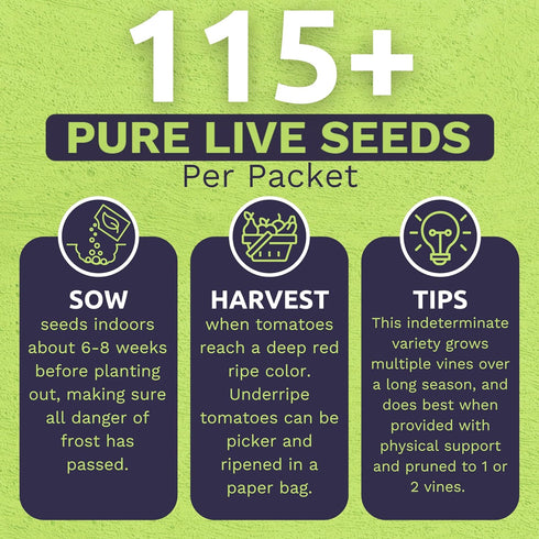 Packets! 150 Organic Matts Wild Cherry Tomato Seeds Two Seed Over Heirloom Non-GMO USDA Organic Seeds