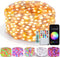 Smart Fairy Lights 33Ft 100 LED Twinkle String Lights with Remote &