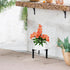 5"-10" 1 Pack) Three Legs Adjustable Metal Plant Stand for Plant Pot Indoor & Outdoor (Black