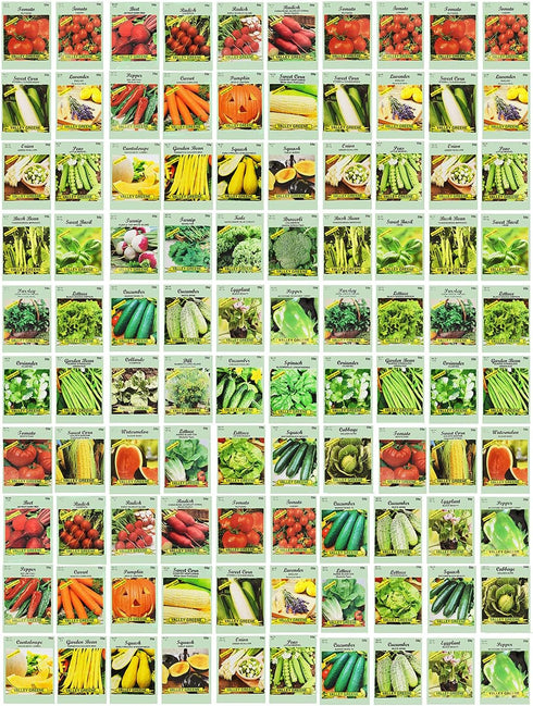 Valley Greene 100 Assorted Heirloom Vegetable Seeds 100% Non-GMO (100, Deluxe Assorted Vegetable Seeds)