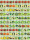 Valley Greene 100 Assorted Heirloom Vegetable Seeds 100% Non-GMO (100, Deluxe Assorted Vegetable Seeds)