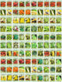Valley Greene 100 Assorted Heirloom Vegetable Seeds 100% Non-GMO (100, Deluxe Assorted Vegetable Seeds)