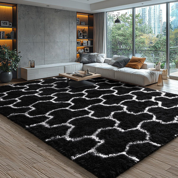 EVOIONOS 5x8 Washable Large Area Rug Living Room, Fluffy Shag Rug Bedroom