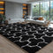 EVOIONOS 5x8 Washable Large Area Rug Living Room, Fluffy Shag Rug Bedroom