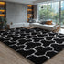 EVOIONOS 5x8 Washable Large Area Rug Living Room, Fluffy Shag Rug Bedroom