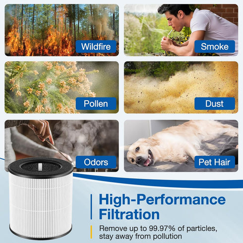 D10 Replacement Filter for Tailulu D10 HEPA Air Purifier, 3-in-1 H13 Grade, 2 Pack
