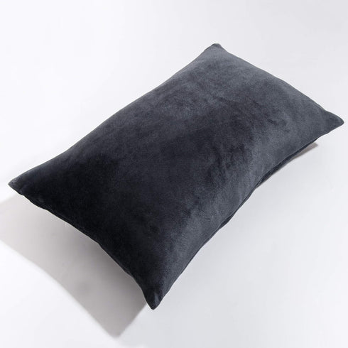 NTBAY 2 Pack Zippered Velvet Pillowcases, Super Soft Cozy Luxury Flannel, 20x30 Inches, Charcoal Grey
