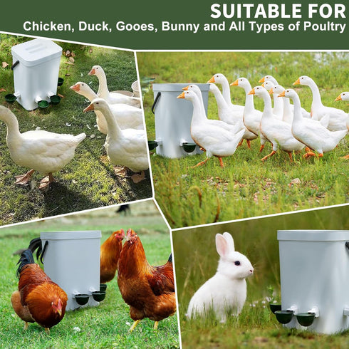 12 Pack, Chicken Water Cups Automatic Filling Waterer Feeder Bowl, Gravity Poultry Watering System, Chicken Water