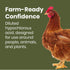32 Clean Republic Good Salt Pet Fresh Nest Egg Wash Spray, Natural Cleaner for Freshly Laid Eggs, Made in the USA