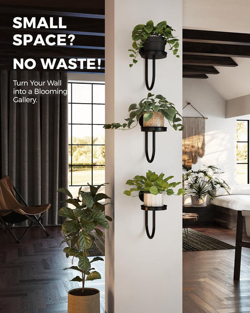 3pcs Bamworld Hanging Planters for Indoor Plants Wall Plant Holder Plant Hanger Indoor Wall Planters Window Plant