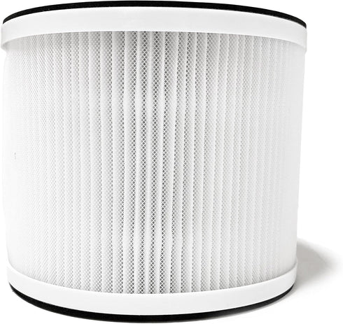 Nispira True HEPA Filter Replacement Compatible with Rigoglioso Air Purifier GL-2109 GL2109. 1 Pack