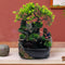 Gdrasuya10 Desktop Fountain Waterfall Decor, Water Feature with Colour Changing LED Lighting