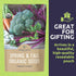Pack 13 Packs 2026 Organic Cool Weather Spring & Fall Seeds Variety - Individual - Season - Carrots, Beets, Spinach