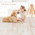 Srugn 5x7 Washable Rugs Area Rugs for Living Room,Bedroom,Dining Room- Ultra Soft Faux Wool Nursery Rug for Baby