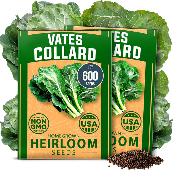 HOME GROWN Vates Collard Green Seeds 600+ Heirloom Non-GMO Seeds for Planting,