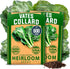 HOME GROWN Vates Collard Green Seeds 600+ Heirloom Non-GMO Seeds for Planting,