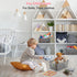 AREYZIN Plastic Storage Baskets with Lid, 6 Pack Organizing Containers for Shelves, Drawers, and Desktop