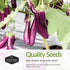 3 Survival Garden Seeds Eggplant Collection Varieties - Long Purple Italian, Black Beauty & Snowy Eggplant Seeds