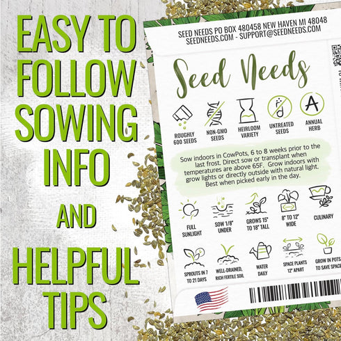 (1 Pack) Seed Needs Italian Flat Leaf Parsley Seeds for Planting - Non-GMO, Heirloom & Untreated - Culinary Herbs