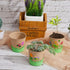 12 Sets Summer Jecery Garden Paper Craft Kit DIY Foam Flower Pots, Flower Planting and Growing Kit for Spring Early