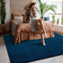 Softlife Navy Blue Area Rugs, 4x6 Washable Bedroom Rug, Soft Fluffy Non-Slip Rug for Kids Home Decor