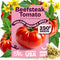 350 SVI Determinate Beefsteak Tomato Seeds (Solanum lycoperscium) Beefsteak Tomatoes Seed Packets