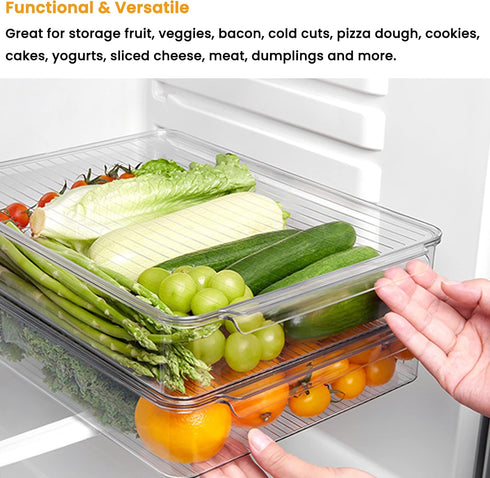 vacane Stackable Freezer Organizer, Flat Produce Saver Sliced Cheese Container with Lids, Freezer Storage Containers
