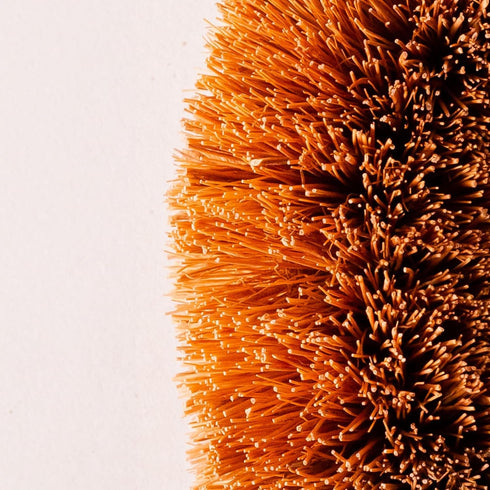 Pack 6 100% of Tawashi Natural Coconut Coir Fiber Brush, Vegetable Scrub Brush, Ideal for Fruit Scrub, Kitchen Cleaning