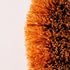 Pack 6 100% of Tawashi Natural Coconut Coir Fiber Brush, Vegetable Scrub Brush, Ideal for Fruit Scrub, Kitchen Cleaning