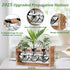 (3 Lifecapido Heart Shaped Propagation Stations, Plant Terrarium with Wooden Stand, Plant Propagation Station