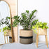 Sunnychicc Stand(10 Inch,Black Plant Basket with Stand Indoor Planter Pot Holder Sturdy Jute Rope Modern Woven Basket