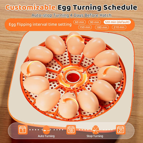 QVKHPCL 12 6 Incubators for Hatching Eggs Egg Digital Egg Incubator Precision Auto Temp Humidity Control Gear