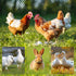 15.7IN 33FT,Plastic 100 Black Plastic Chicken Wire mesh x Chicken Wire Fencing,Poultry Netting,Plastic mesh