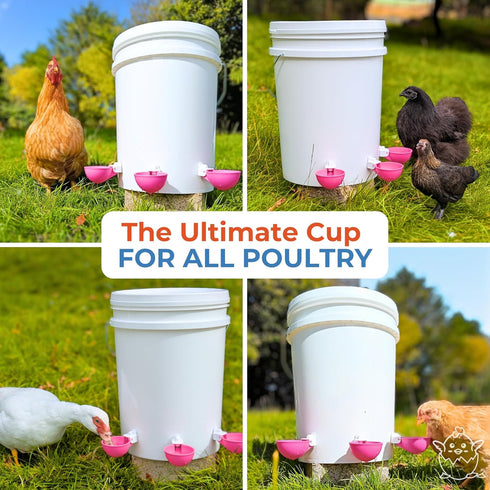 5 Pack) Lil'Clucker - Large Automatic Chicken Waterer Cups Suitable for Ducks, Geese, Turkeys, and Bunny Rabbit - Water