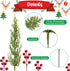 60 Pcs/Set 3D 12.5 Inch Christmas Artificial Pine Branches- Faux Evergreen Cedar Sprigs Branches- Fake Foliage Pine