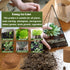 ZeeDix 50pcs Compressed Coco Coir Fiber, 50mm Potting Soil for Indoor and Outdoor Plants