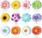 24 Pieces Flower Magnets, Magnetic Flowers Seasonal Daisy Sunflower Decals, Removable Colorful Magnets for Fridge