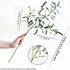 FiveSeasonStuff Lifelike Olive Branches - Premium 30-inch Faux Greenery with Realistic Leaves for Home and Events