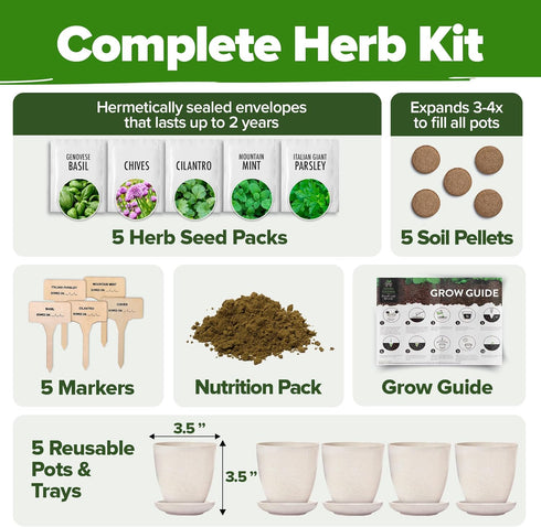 5 HOME GROWN Indoor Herb Garden Starter Kit Complete Herb Grow Kit with Basil, Cilantro, Mint, Parsley & Thyme
