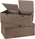 2 Pack Storage Boxes with Lids and Handles | Collapsible Linen Storage Bins Organizer Containers for Home Bedroom Office