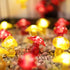 Lights-3D 7ft 20 Dimmer- JASHIKA Mushroom Dcor Fairy String Mushroom Lights USB Plug in or Battery Operated LED
