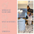 Park Life Designs 1.4 Dog Treat Jar - Ceramic Dog Treat Container Qt (Manor Blue) | Treat Jar with Lid, Keeps Treats