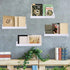 8 Packs 14 Inch Blulu Acrylic Floating Shelf Wall Mounted Invisible Acrylic Shelf Ledge Floating Bookshelf for Living