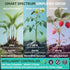 Dimmer, Dual Head LED Grow Light for Indoor Plants, Full Spectrum Under Cabinet Plant Light for Shelves, High PPFD