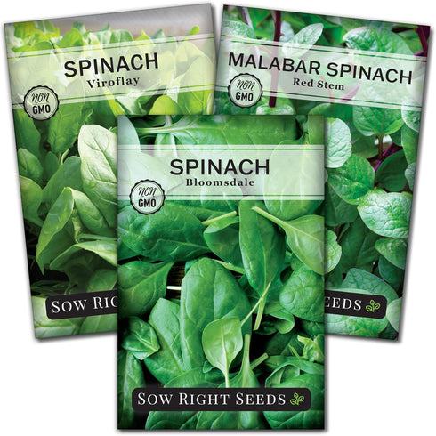Sow Right Seeds - Spinach Seed Collection for Planting - Viroflay, Malabar